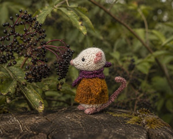 Muisje Olaf bij een vlierstruik Muisje Olaf bij een vlierstruik