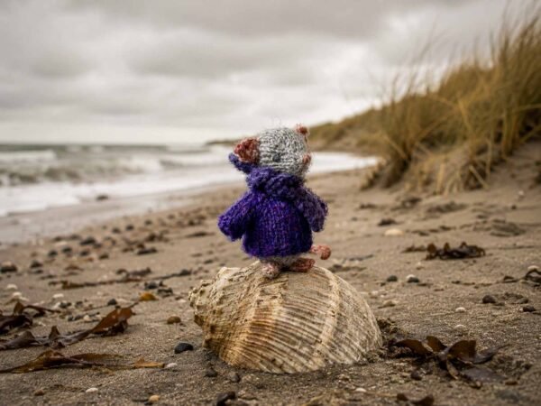 Muisje Fieke op het strand