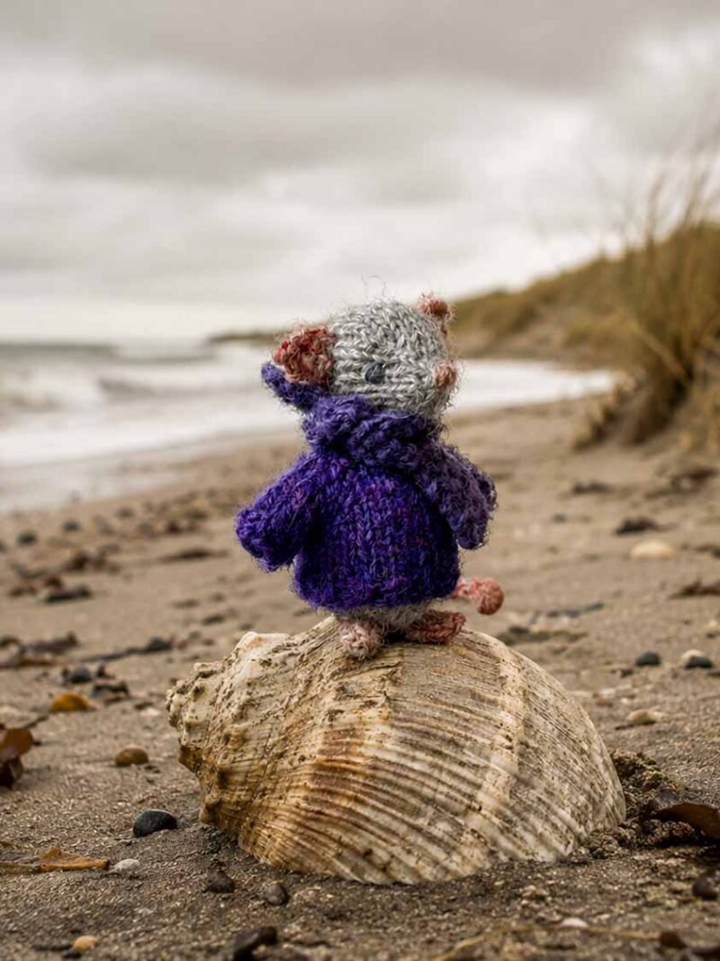 Muisje Fieke op het strand