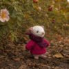 Muisje Rosa naast wilde rozenstruik